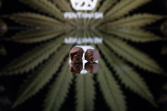 Pentahash Morrocan 1g | to nejlepší z kanabinoidů a terpenů 